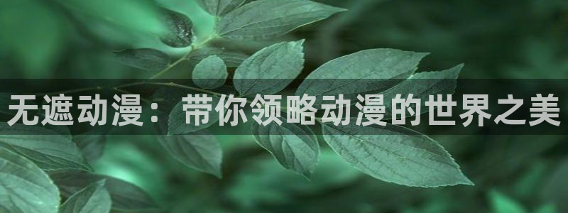 我推的孩子第一季樱花动漫：无遮动漫：带你领略动漫的世界之美